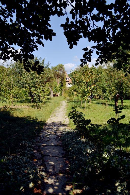 Villa Castelul Maria Banpotoc Buitenkant foto