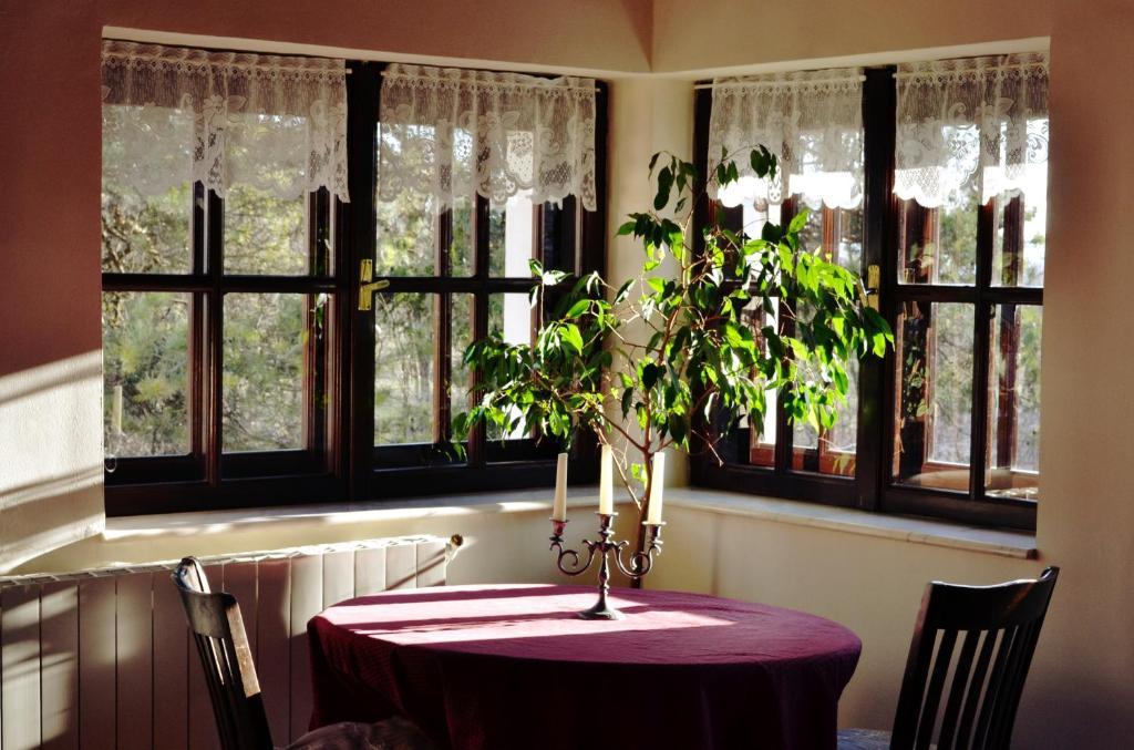 Villa Castelul Maria Banpotoc Kamer foto