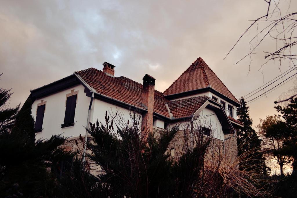 Villa Castelul Maria Banpotoc Buitenkant foto