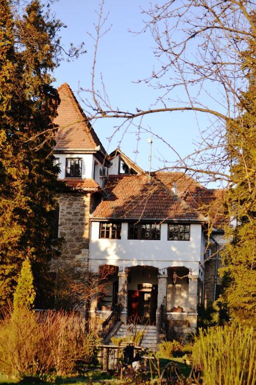 Villa Castelul Maria Banpotoc Buitenkant foto