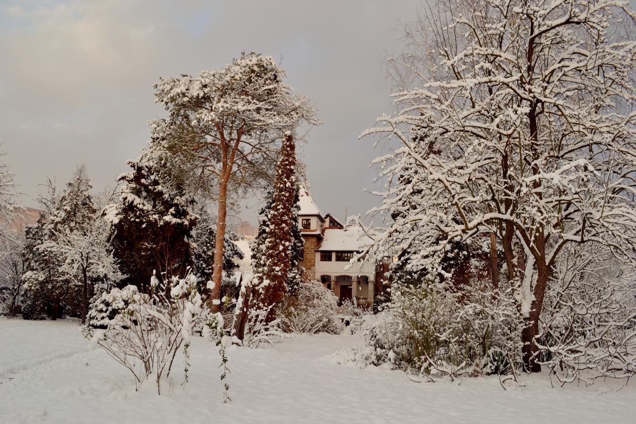 Villa Castelul Maria Banpotoc Buitenkant foto